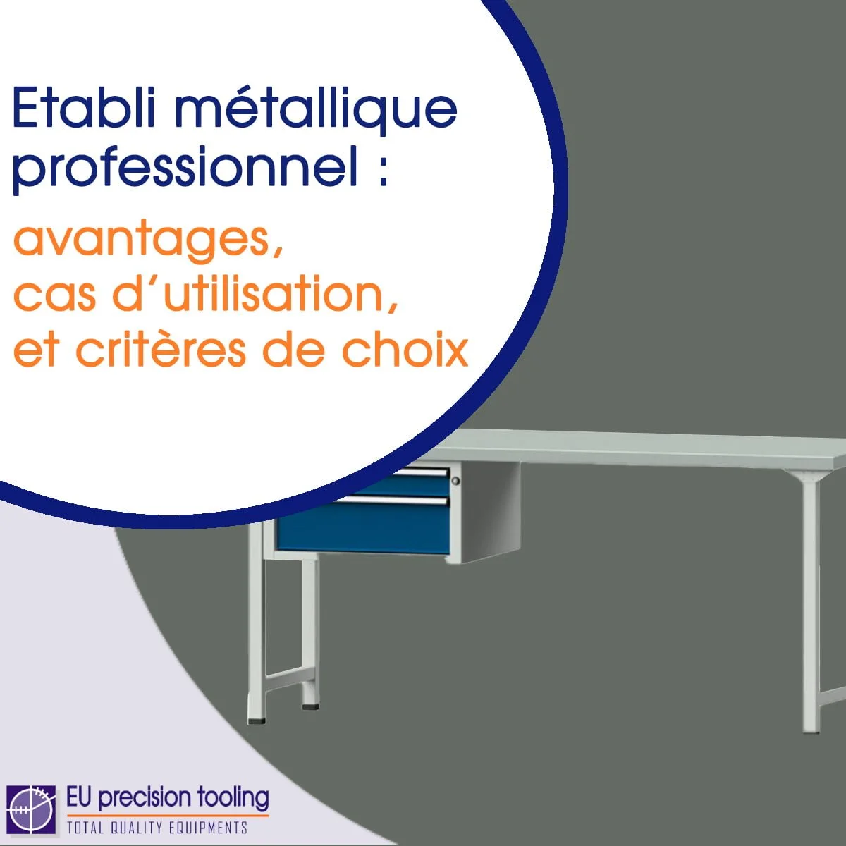 Etabli métallique professionnel